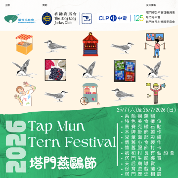 塔門燕鷗節2026