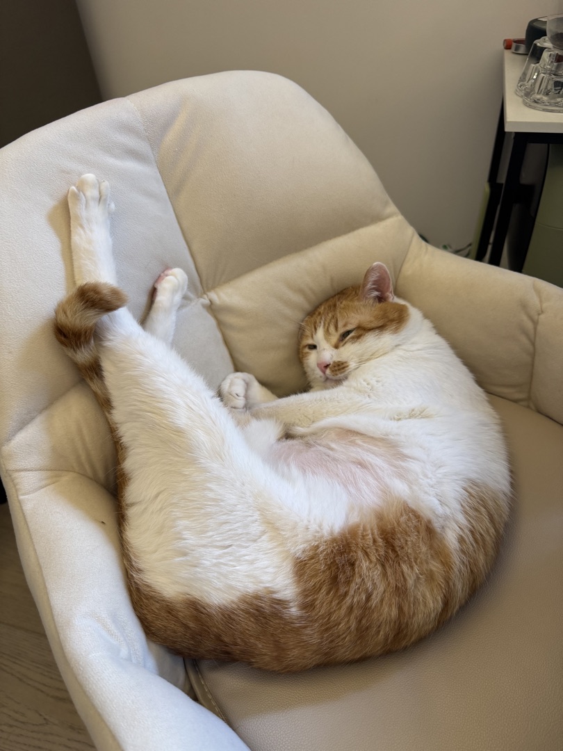 Attendee
